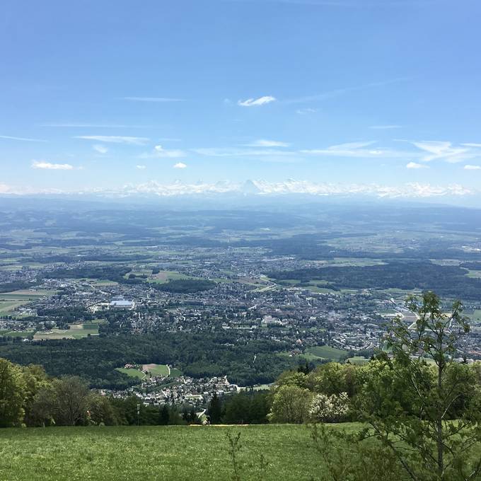 Wann kommt die elfte Solothurner Waldwanderung?