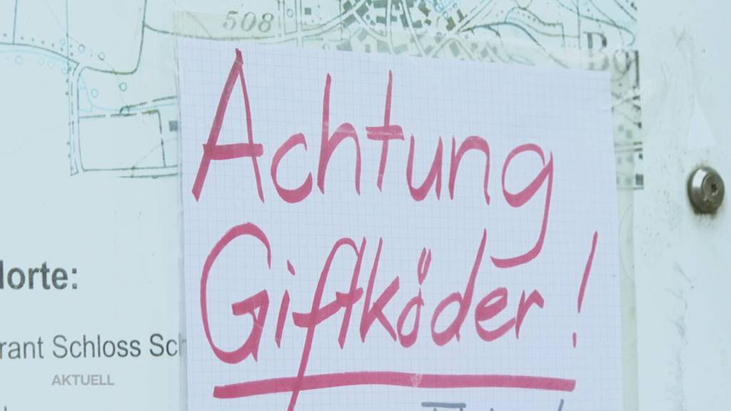 Sind es Giftköder? Grosse Aufregung unter Hundebesitzenden in Wettingen
