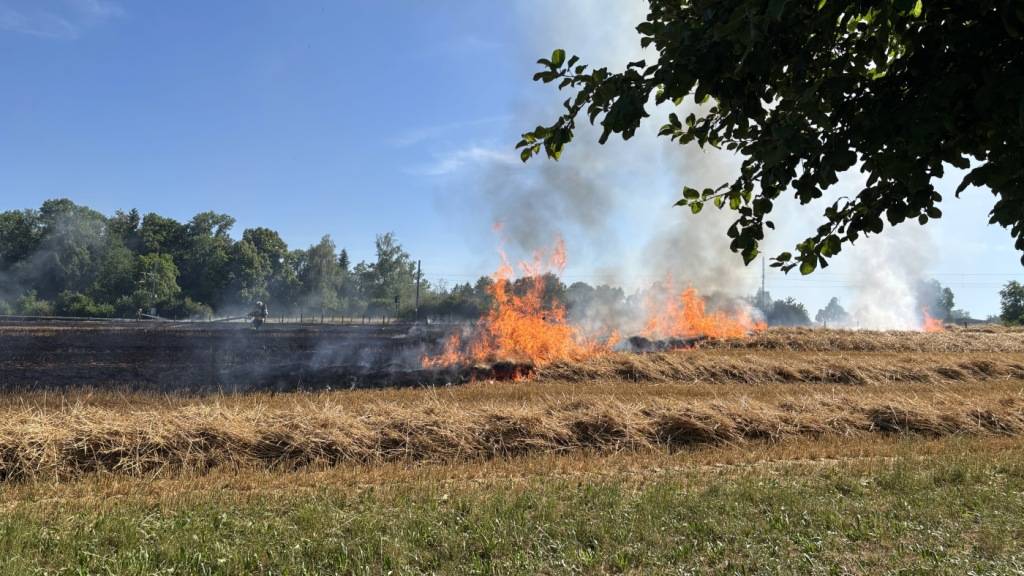 Brennendes Weizenfeld in Winden TG