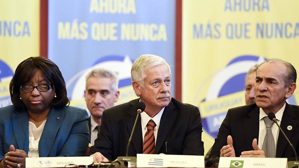 In Uruguay kamen am Mittwoch die Gesundheitsminister Lateinamerikas zusammen, um über eine gemeinsame Strategie gegen das Zika-Virus zu beraten.