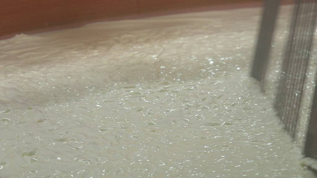 Ostschweizer «Käse-Könige» punkten an Käse-WM