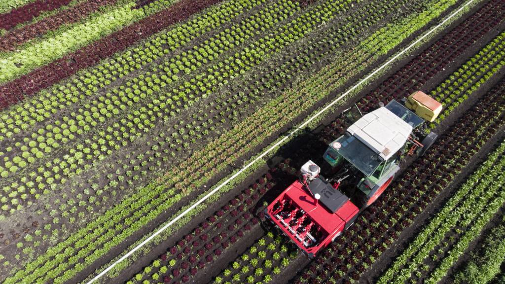 Grenzwertkriterien für Pestizide in Gewässern werden angepasst