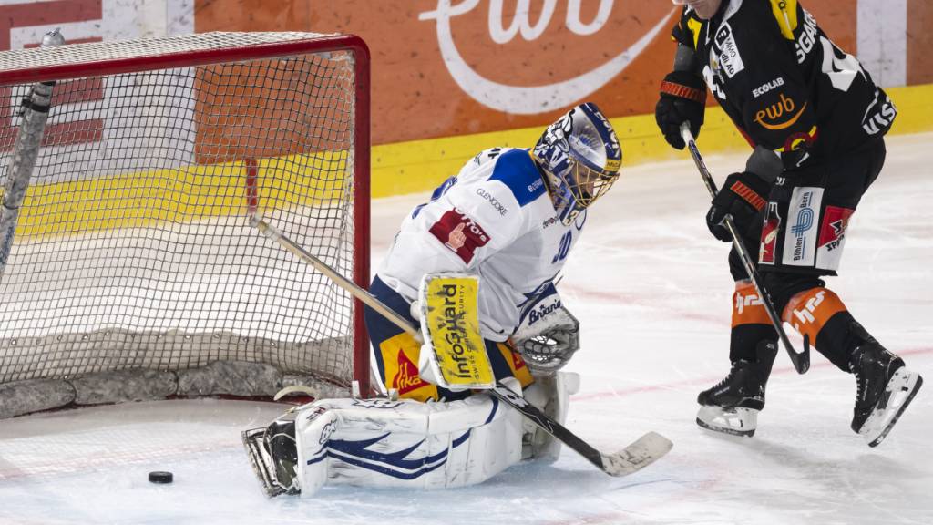 Der SC Bern erreicht Play-In
