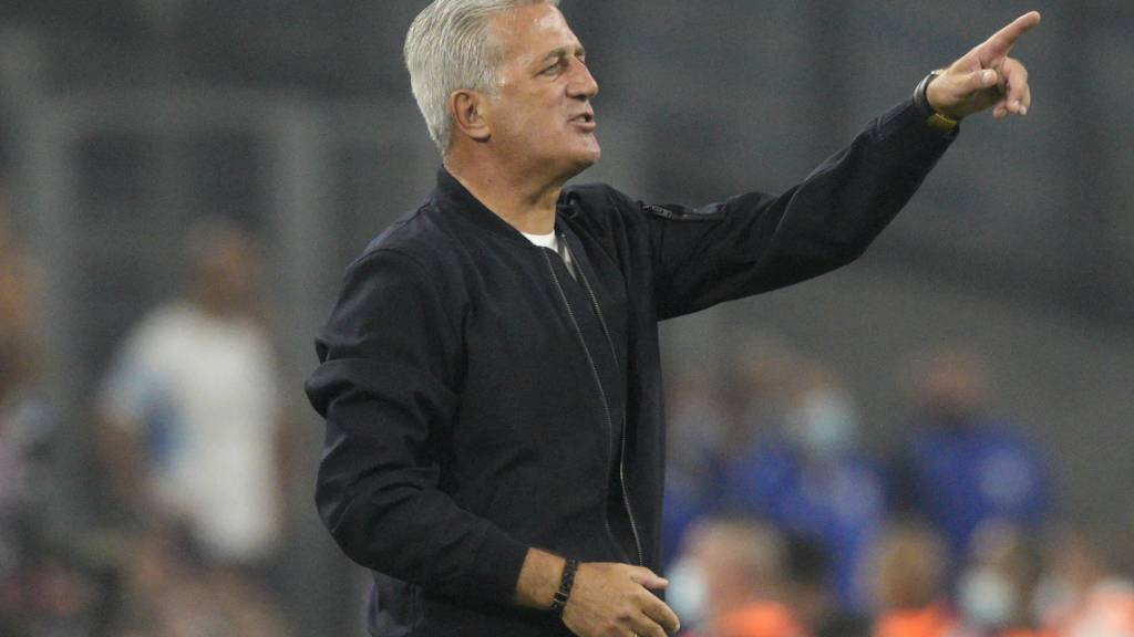 Vladimir Petkovic ist wieder als Nationaltrainer tätig