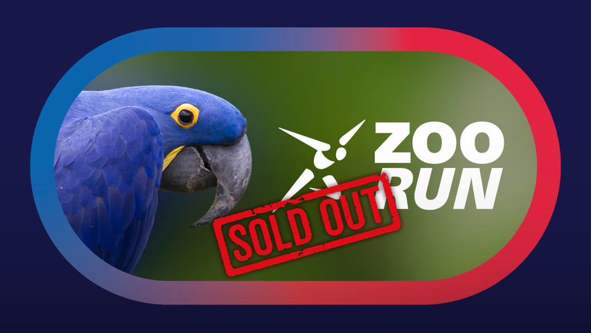 Weltklasse Zürich Zoo Run 