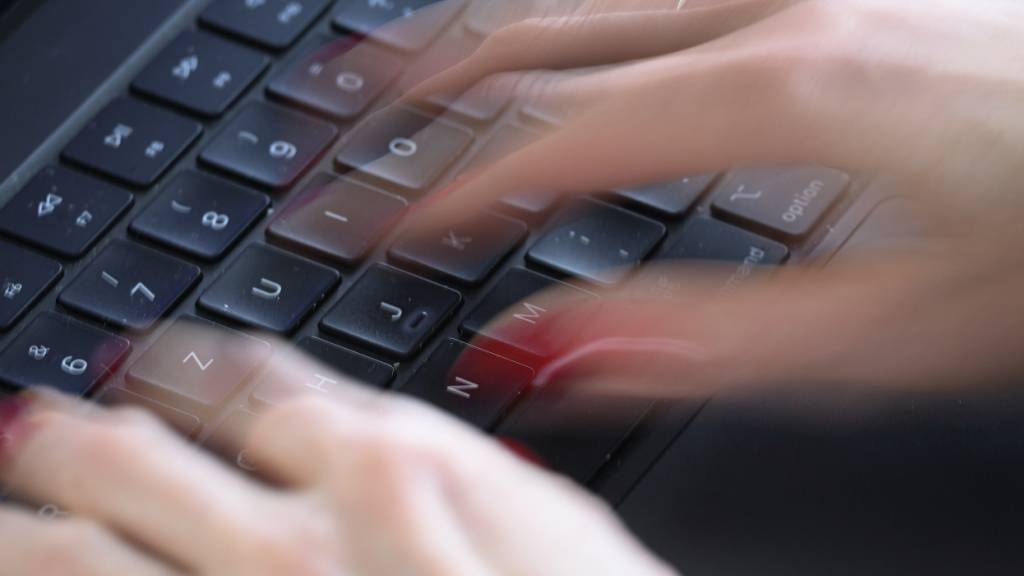 Internetbetrüger erbeuten im Kanton Schwyz 500'000 Franken