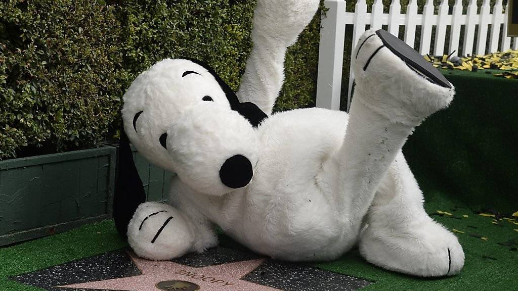 Snoopy mit seinem Stern: Die Zeichentrick-Figur ist nun auch auf dem Walk of Fame verewigt.