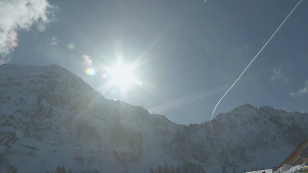 Die besten Lawinenhunde des Landes – Schweizer Meisterschaft auf der Schwägalp