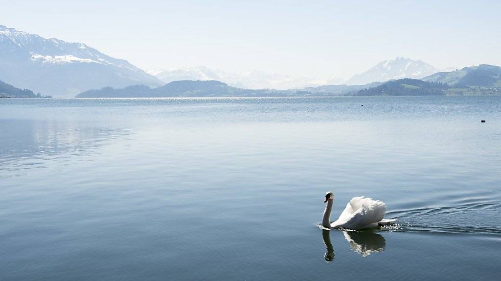 Im Zugersee (Bild) und Rotsee sind Forscher auf bisher kaum erforschte Bakterien gestossen, die sich als Klimaschützer betätigen: Sie bauen das Treibhausgas Methan ab, bevor es in die Atmosphäre entweicht.