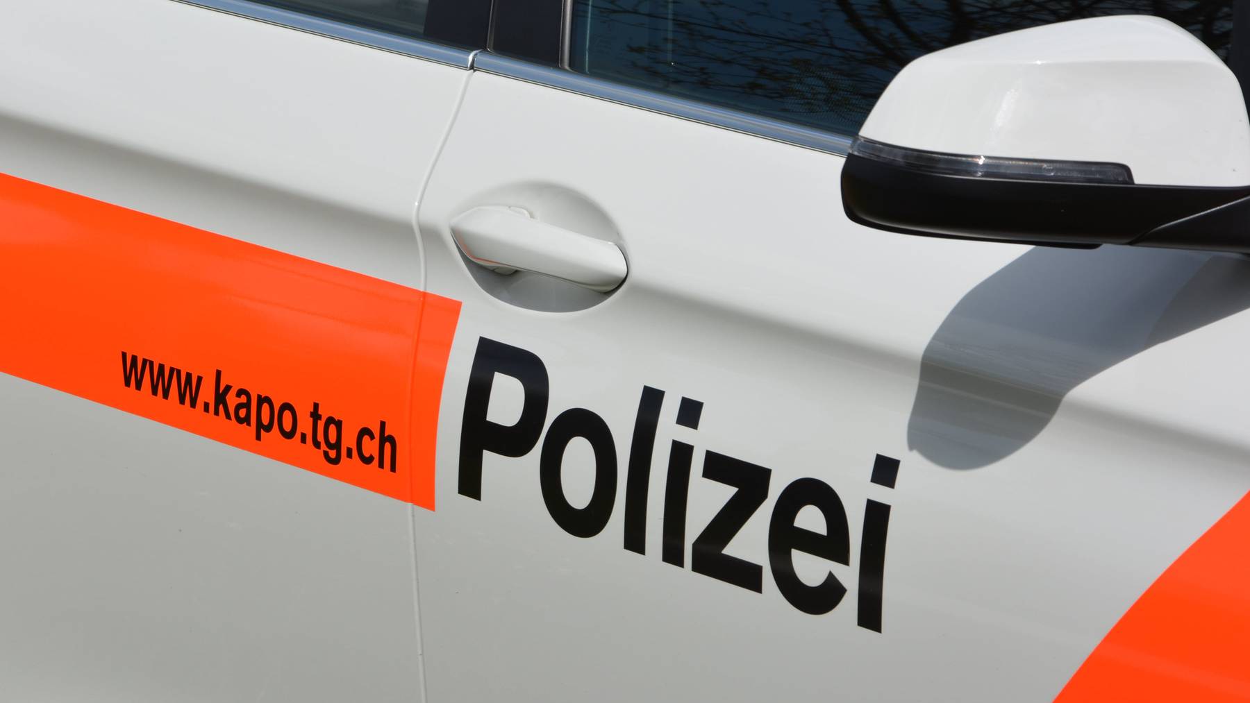 Die Fahndung der Kantonspolizei Thurgau gegen die beiden Männer verlief bis anhin ergebnislos.