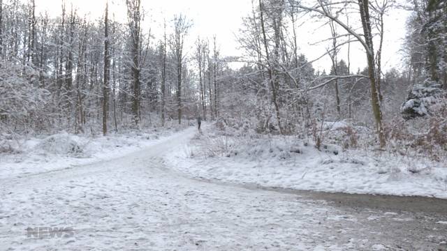 7.5 Jahre für Bremgartnerwald-Vergewaltiger