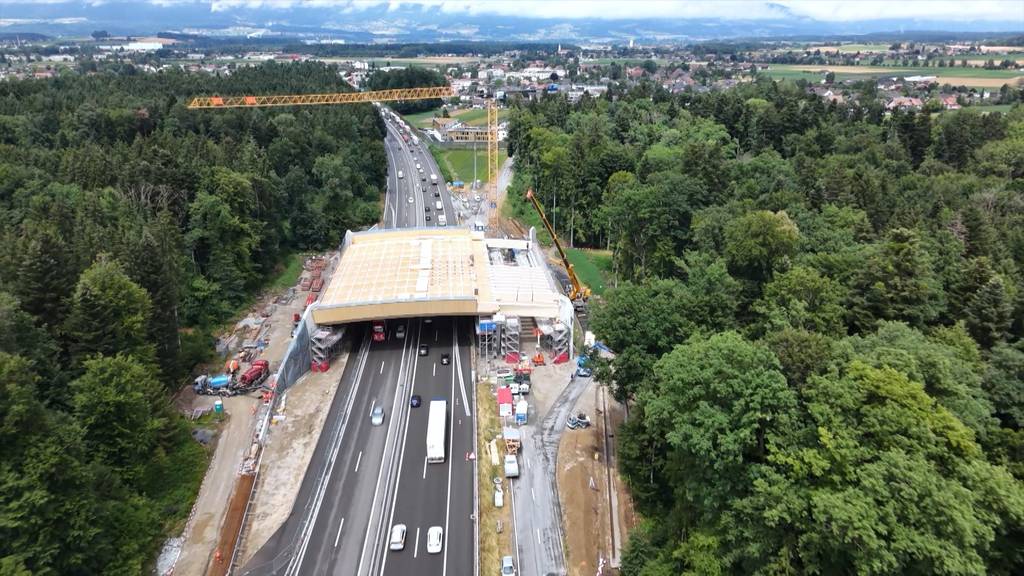 So läuft der Bau der hölzernen Wildtierbrücke über die A1 in Koppigen