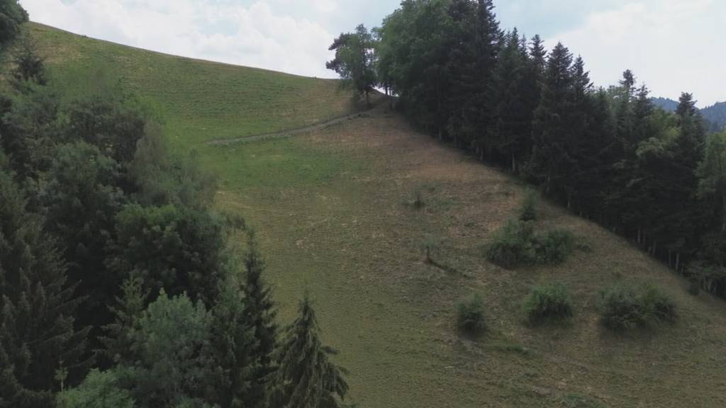 Projekt unterstützt Landwirtschaft beim Wasserhaushalt