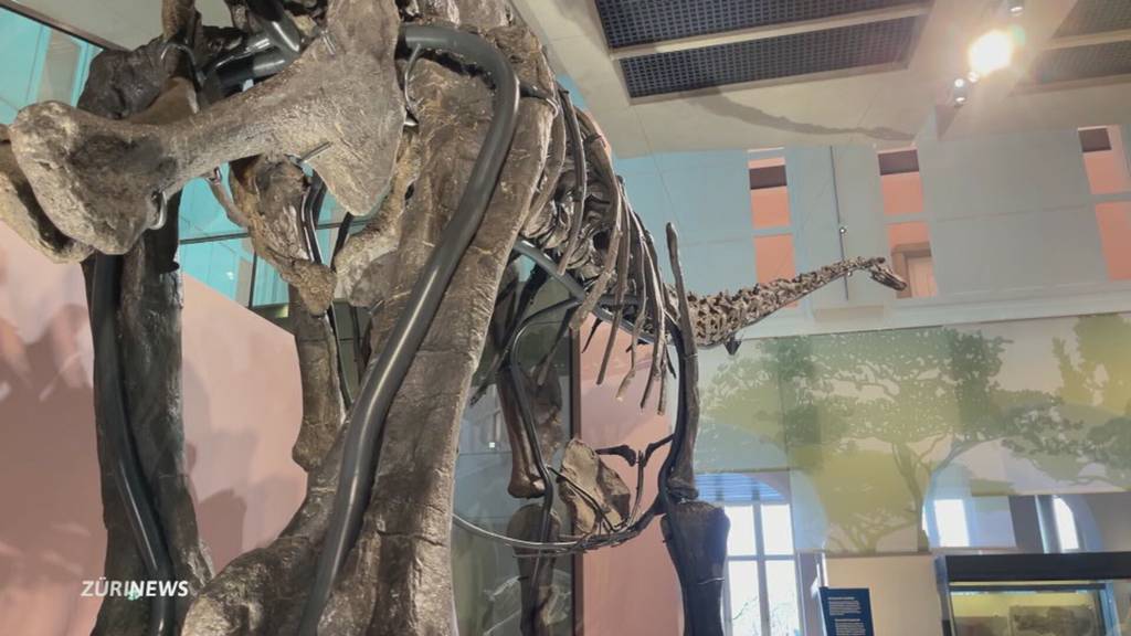 Vier neue Dinos: Eröffnung des Naturhistorischen Museums
