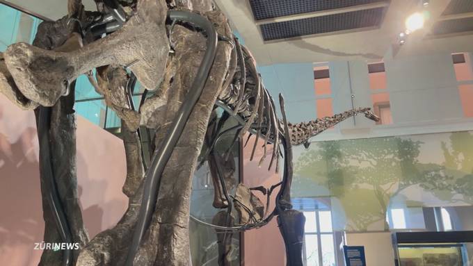 Vier neue Dinos: Eröffnung des Naturhistorischen Museums