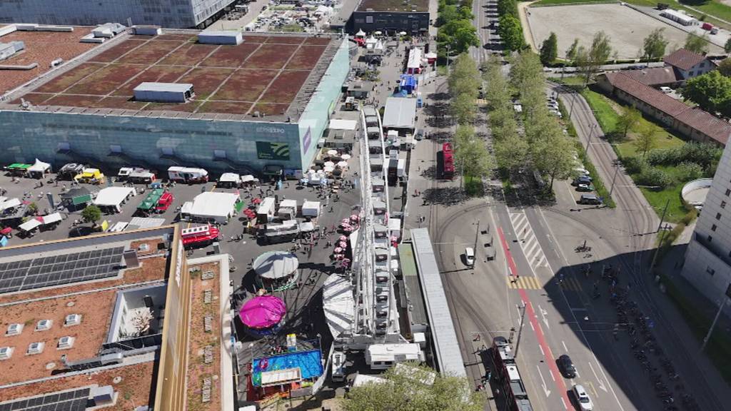 Gute Besucherzahlen und Promis