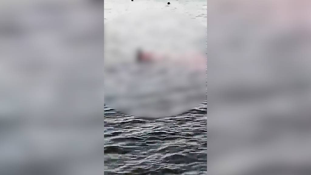 Dramatische Szene an Hotel-Strand: Österreicherin stirbt bei Hai-Attacke in Ägypten