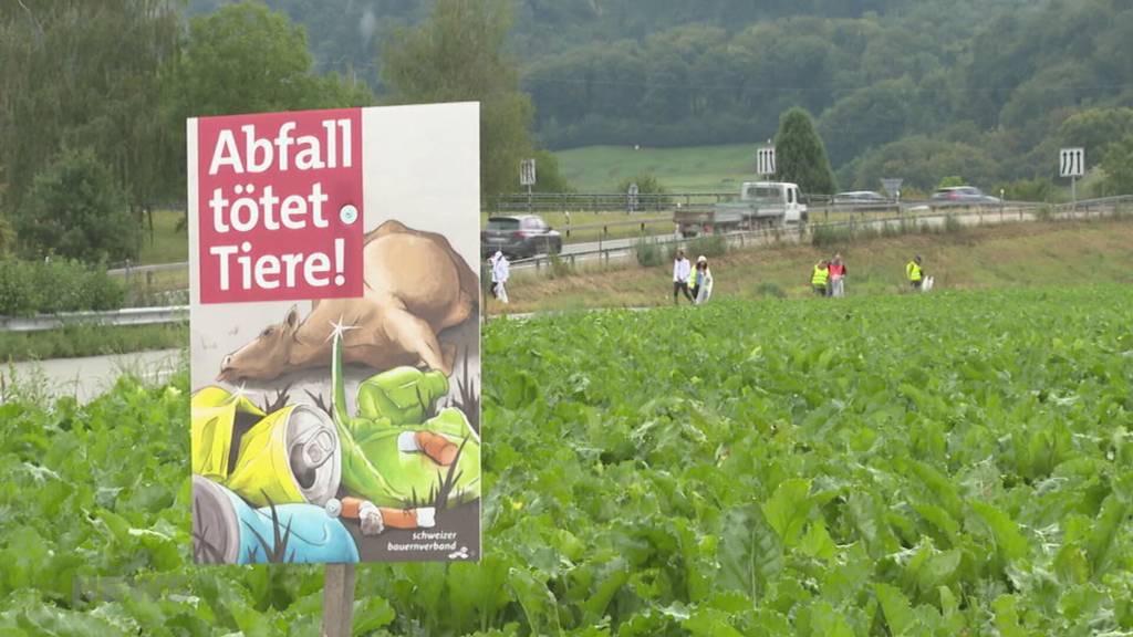 Bauern und McDonald’s gemeinsam gegen Littering