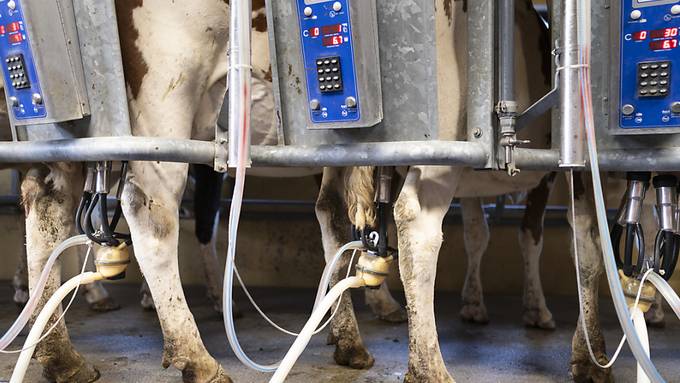 Berner Bauern Verband fordert höheren Milch-Richtpreis
