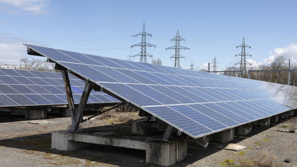 Der Solarstrom macht fast 80 Prozent des Zuwachses bei den erneuerbaren Energien aus. (Archivbild)