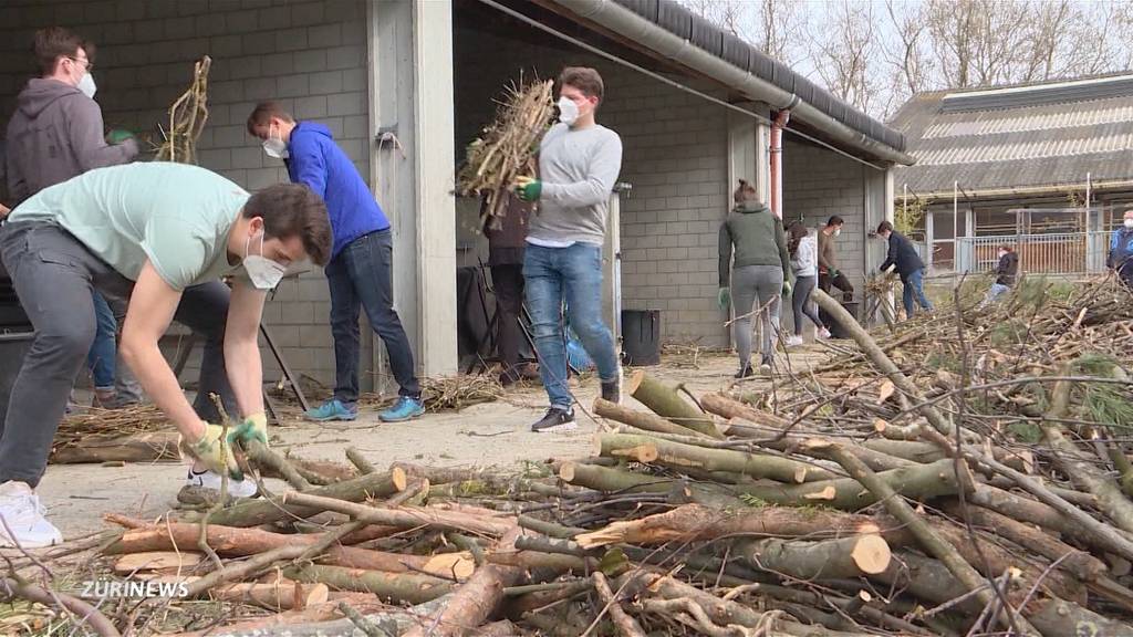 Traditioneller Kater bleibt aus: Zoifter kämpfen dieses Jahr mit Muskelkater