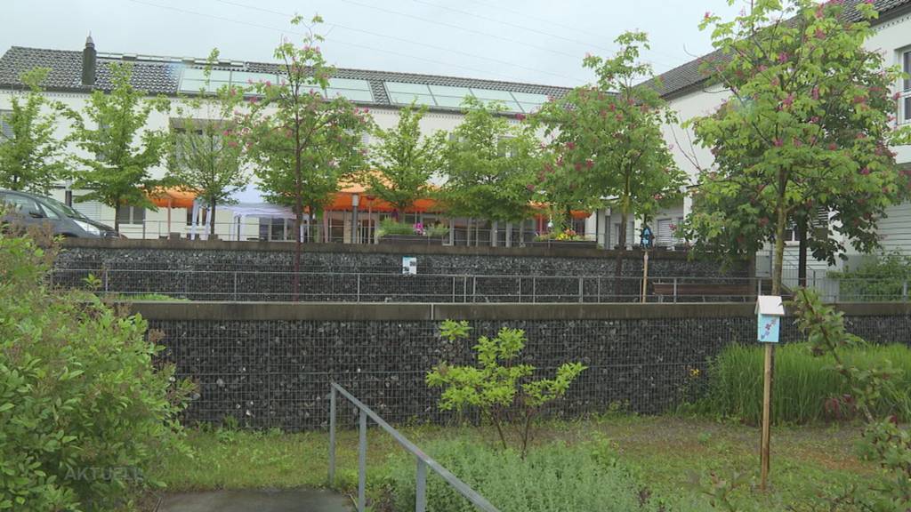 Gemeinsam kreativ: Schüler und Bewohner vom Alterszentrum in Erlinsbach bauen Vogelhäuser