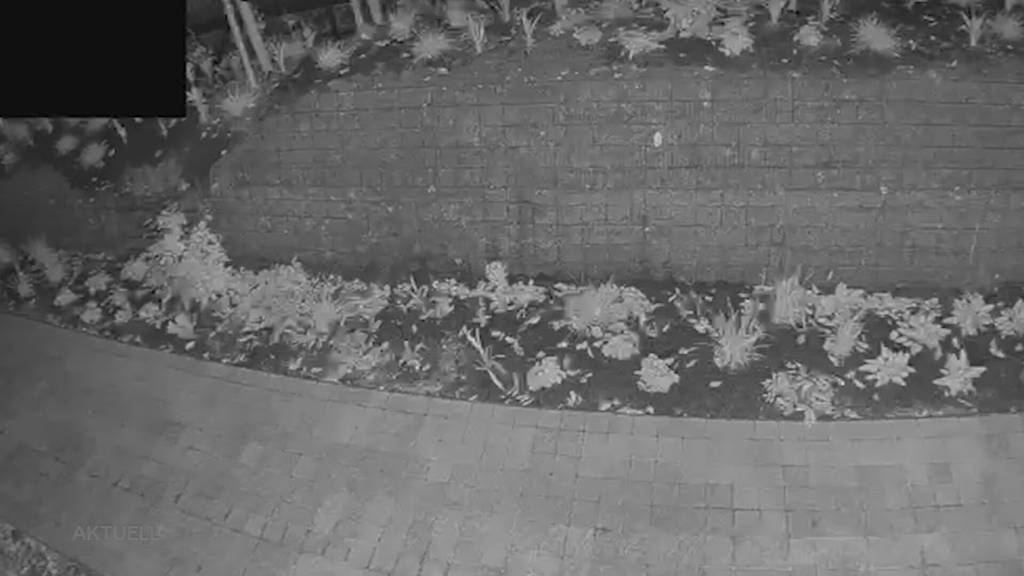 Verdächtiger festgenommen: In Schinznach Dorf verhindert Videokamera Diebestour
