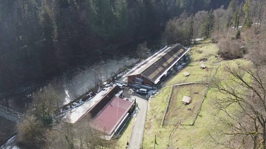 Tierheim Sitterhöfli wappnet sich gegen Naturgefahren