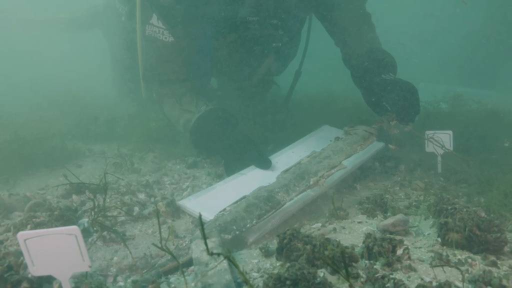 Schwerter, Werkzeuge und weitere Fundstücke aus der Römerzeit im Neuenburgersee gefunden