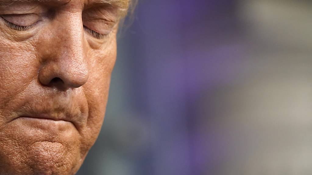 Donald Trump, Präsident der USA, während einer Pressekonferenz im Weißen Haus. Foto: Andrew Harnik/AP/dpa