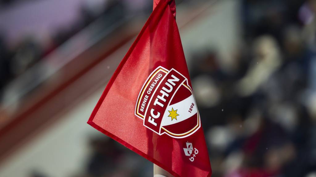 Ein Schwede für den FC Thun