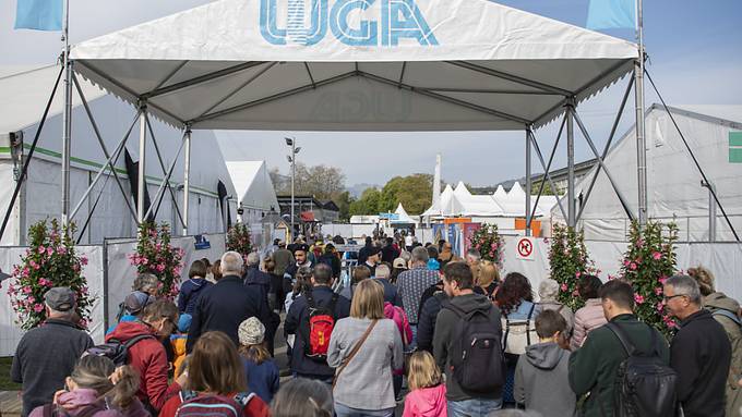 Luzerner Messe AG erholt sich vom Corona-Tief
