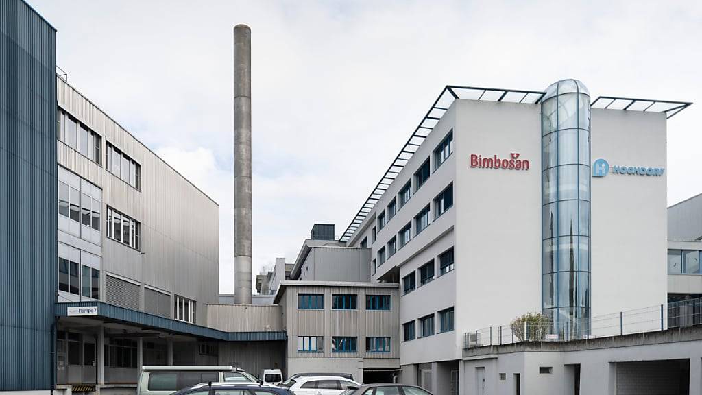 Der bisherige Hauptsitz der Hochdorf Swiss Nutrition in Hochdorf. (Archivaufnahme)