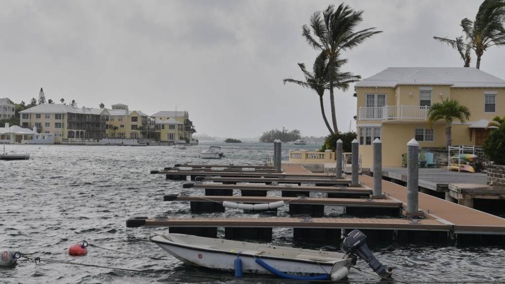 Bäume wehen im Wind auf einem Pier in Hamilton. Foto: Anthony Wade/AP/dpa