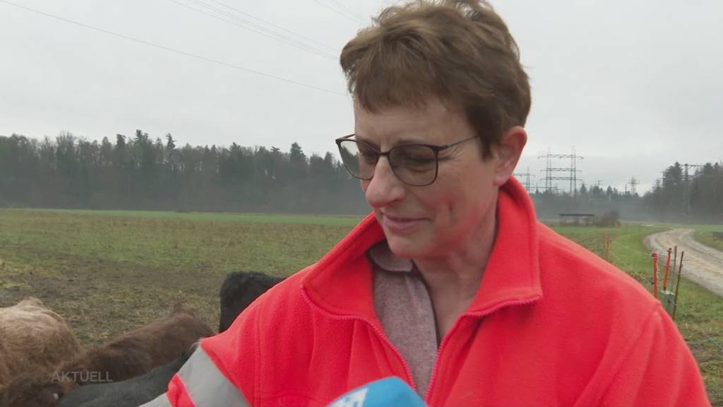 Happy-End: Verschollene Kuhglocke taucht plötzlich wieder auf