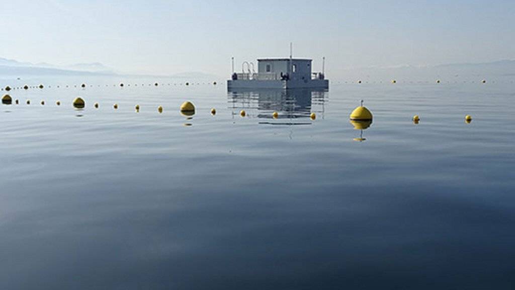 Von Bojen vor dem Schiffsverkehr geschützt schwimmt die Forschungsstation «Léxplore» auf dem Genfersee.