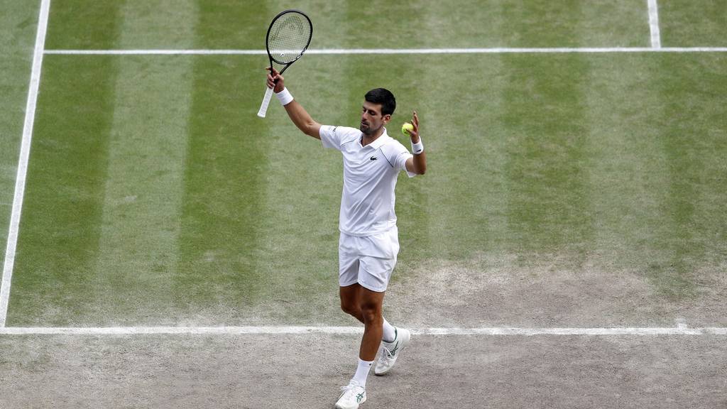 Djokovic holt sich 20. Grand-Slam-Titel