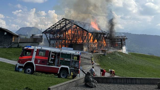 Stall brennt auf Alp Gueteregg lichterloh ab – Löschheli im Einsatz
