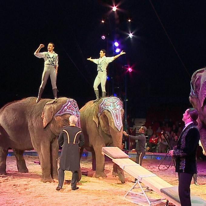 Circus Knie: Highlights der letzten 10 Jahre