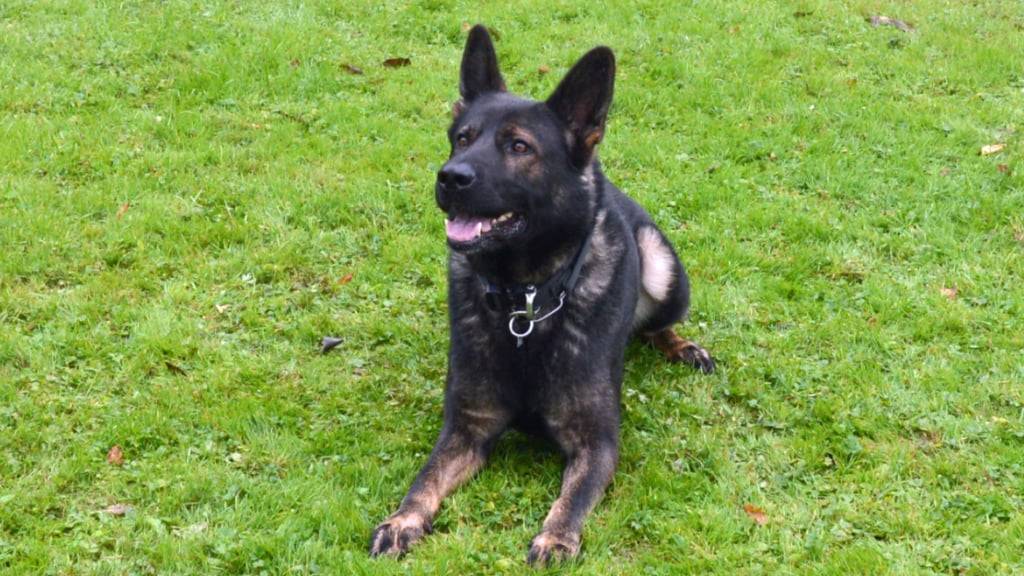 Quanto stand über die Festtage im Einsatz.