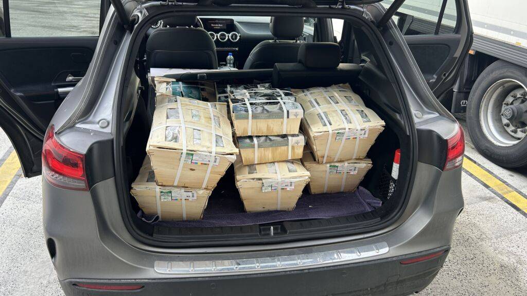 Nicht mehr ganz frische Austern: Die Ware lag ungekühlt im Auto.