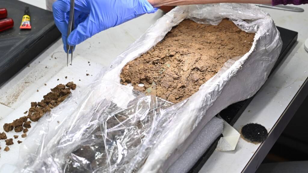 Die im Grabhügel auf dem Santenberg gefundenen Grabbeigaben, darunter ein Bronzeschwert, werden im Labor der Kantonsarchäologie Luzern untersucht.