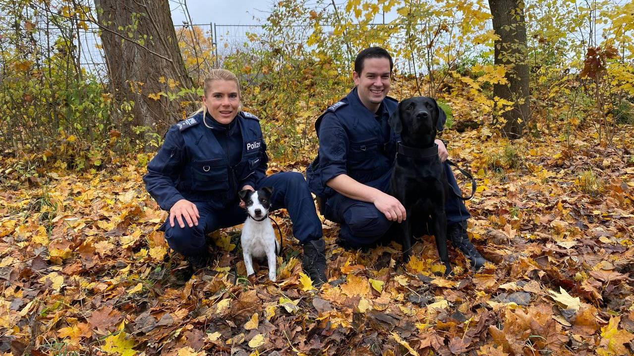 Spürhunde Stadtpolizei Zürich