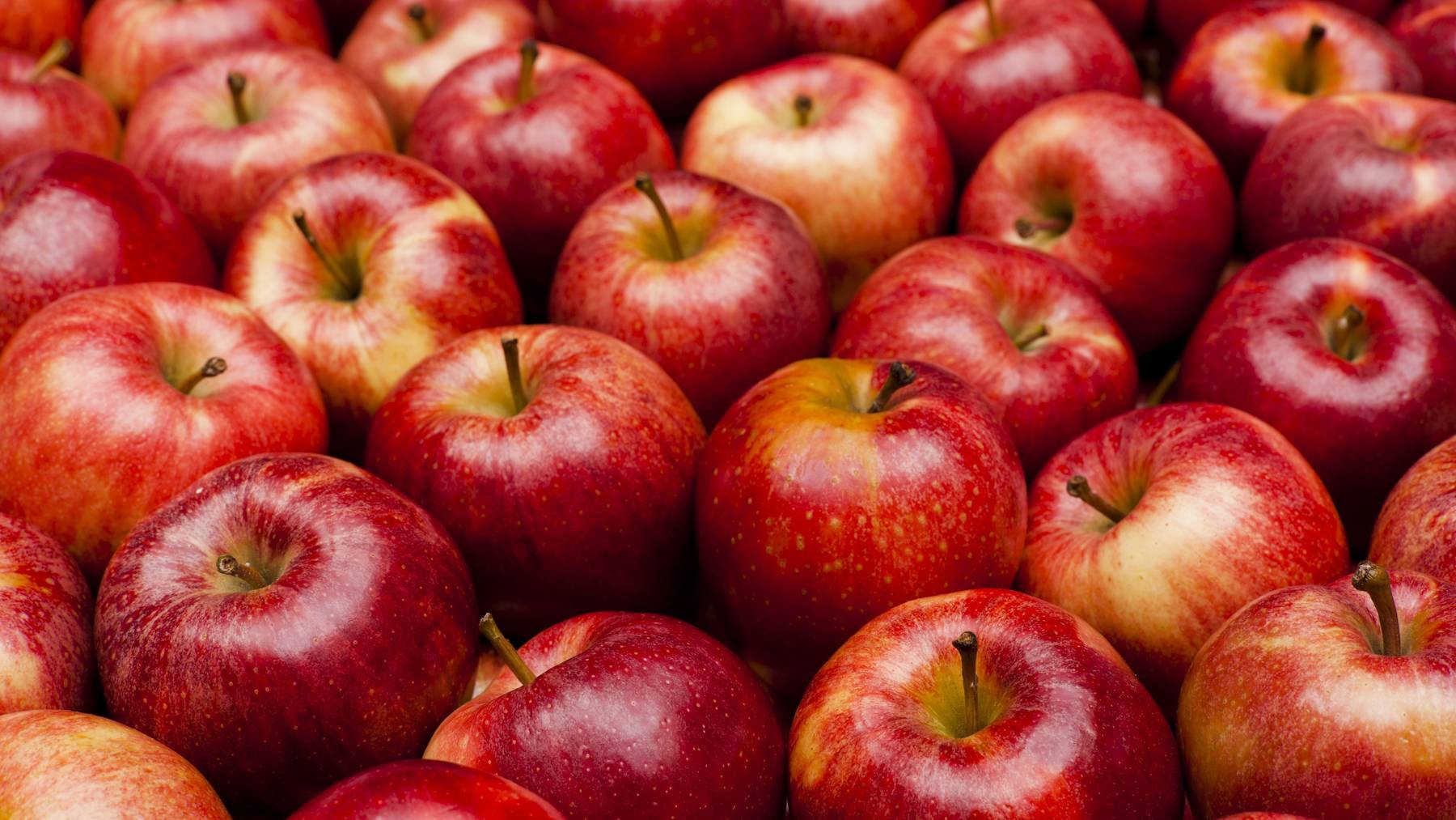 Es gibt wieder Schweizer Gala-Äpfel in der Migros. (Themenbild)