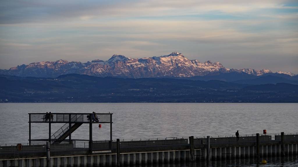 Im Bodensee wurde am Samstagabend eine Leiche gefunden.