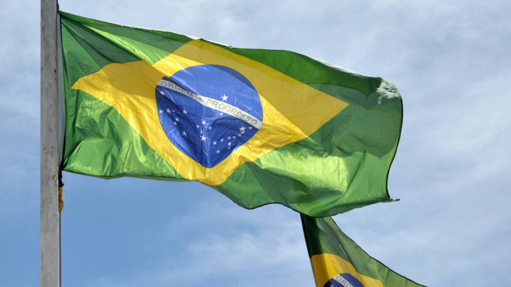 ARCHIV - Brasilianische Nationalflaggen. Foto: Nicole Becker/dpa/Archivbild