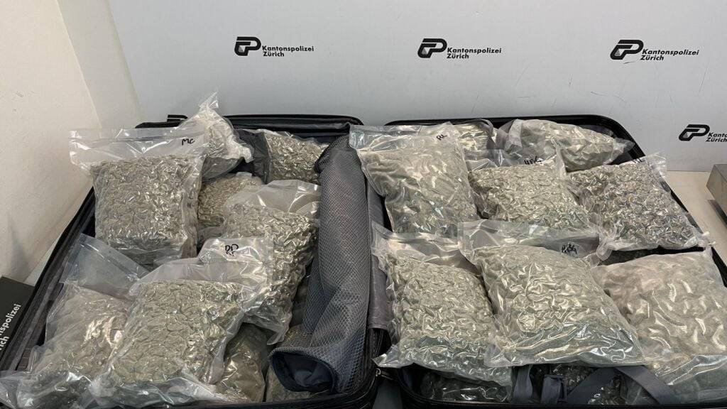 70 Kilogramm Marihuana am Zürcher Flughafen beschlagnahmt