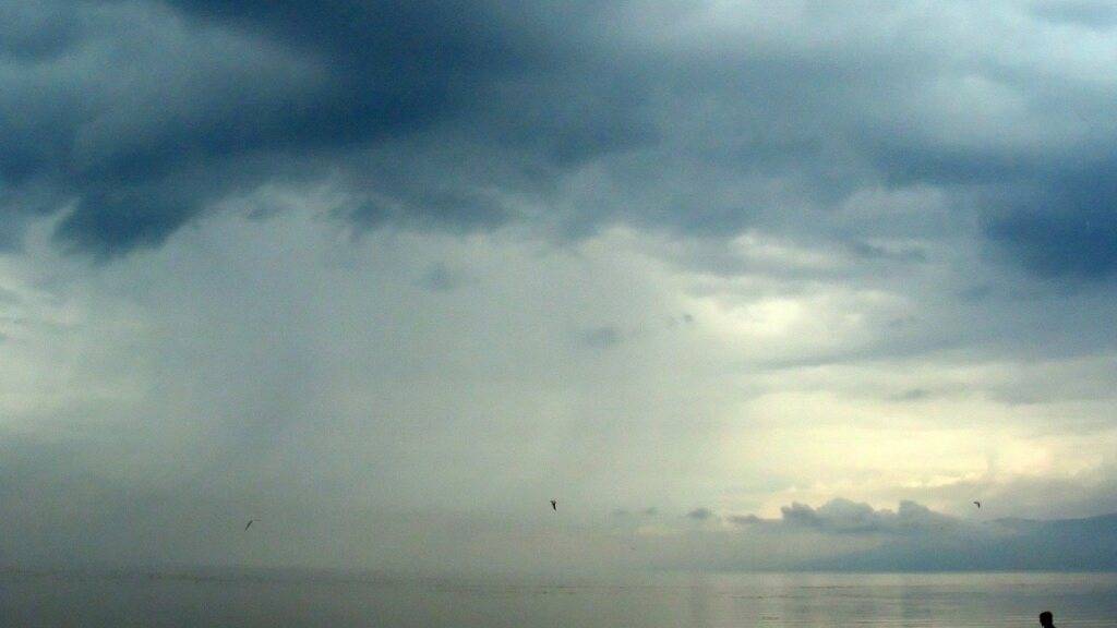 Eine internationale Forschungsgruppe ist der Entwicklung der Artenvielfalt in Europas Süsswasser-Ökosystemen nachgegangen. (Symbolbild)