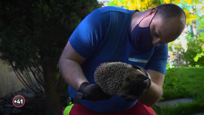 Die Tierretter