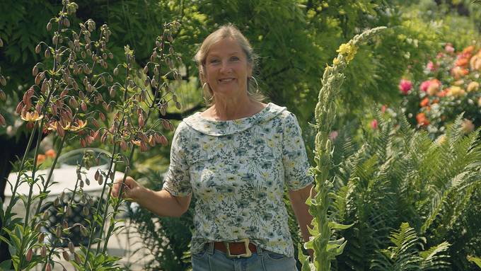 Erika Schwarz zeigt ihren Rosengarten mit Weinreben 